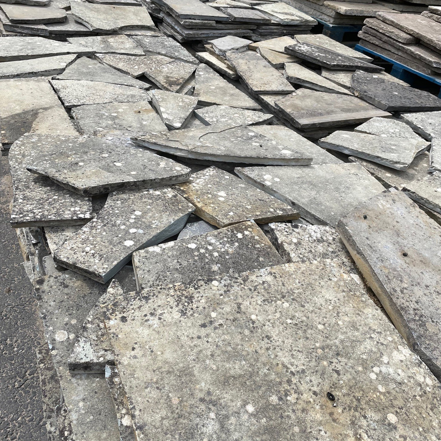 Sandstone 'Crazy' Paving 2 38 | Sandstone 'Crazy' Paving