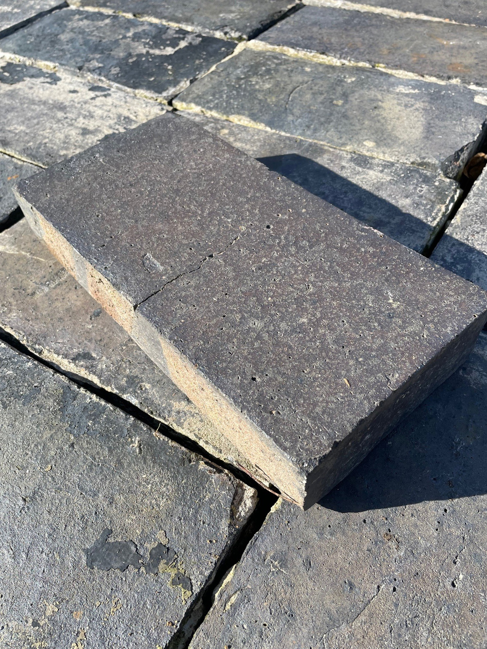 4 95 | Blue Pavers 12"