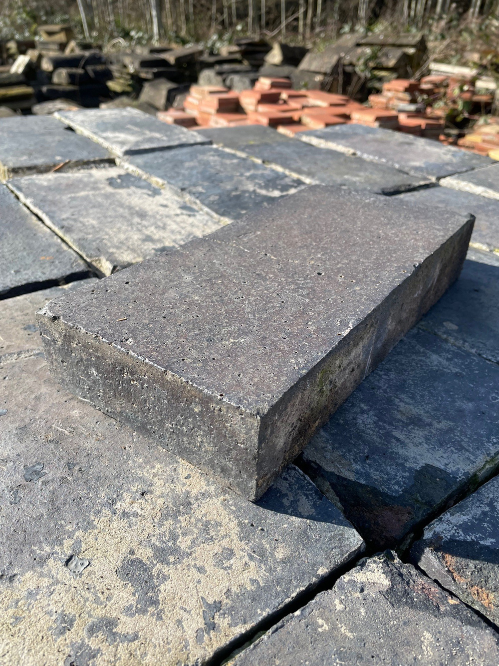 5 74 | Blue Pavers 12"