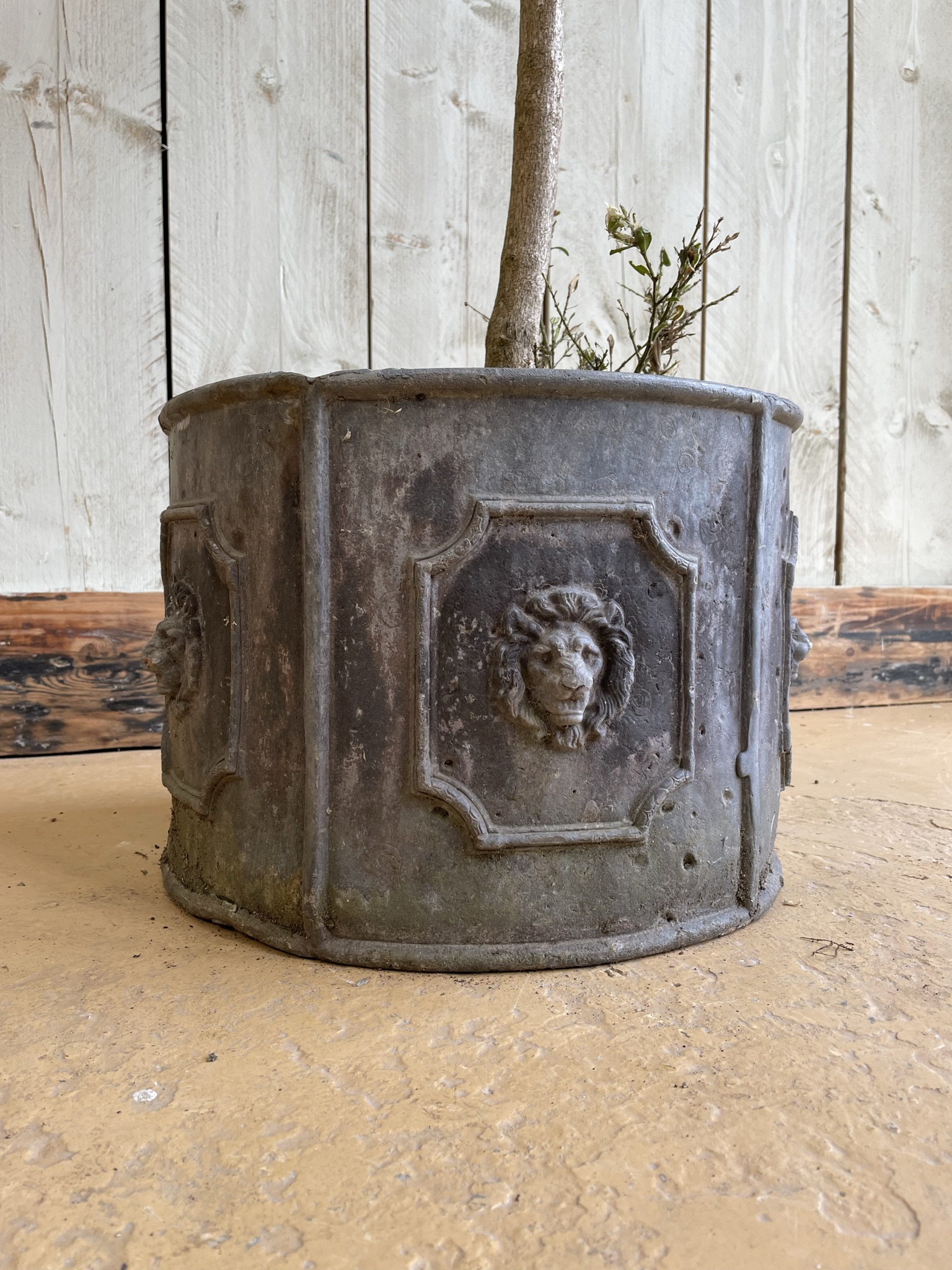 IMG 2408 | Lead Planter with Lions Head Panel