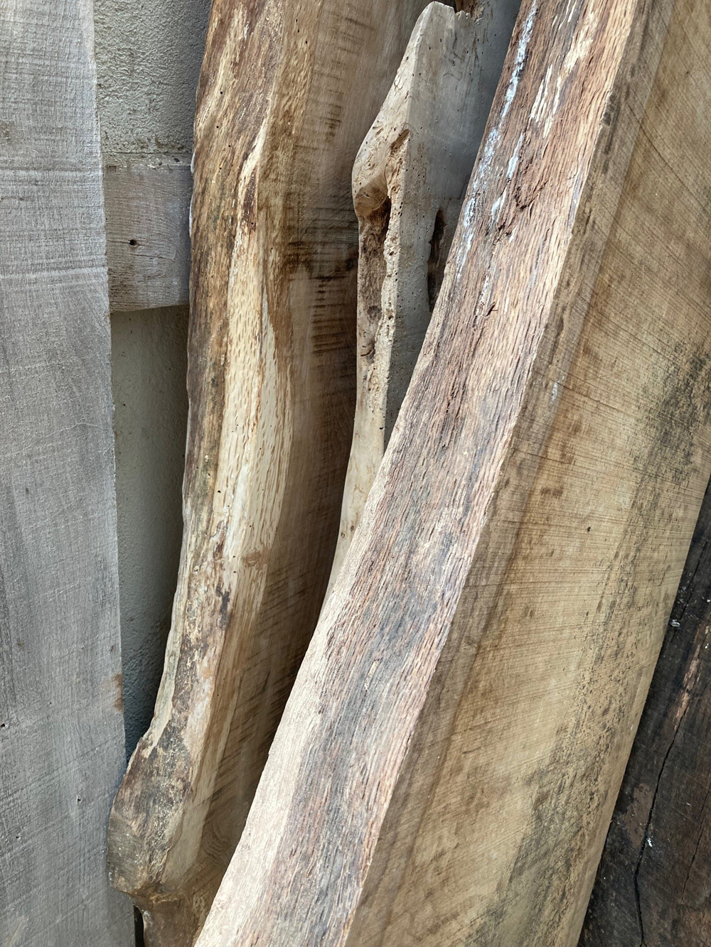 Waney Edge Timbers Main Image | Timber Features